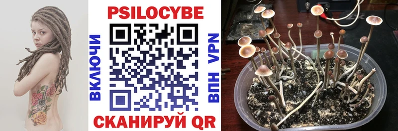 Псилоцибиновые грибы прущие грибы  MEGA зеркало  Динская 